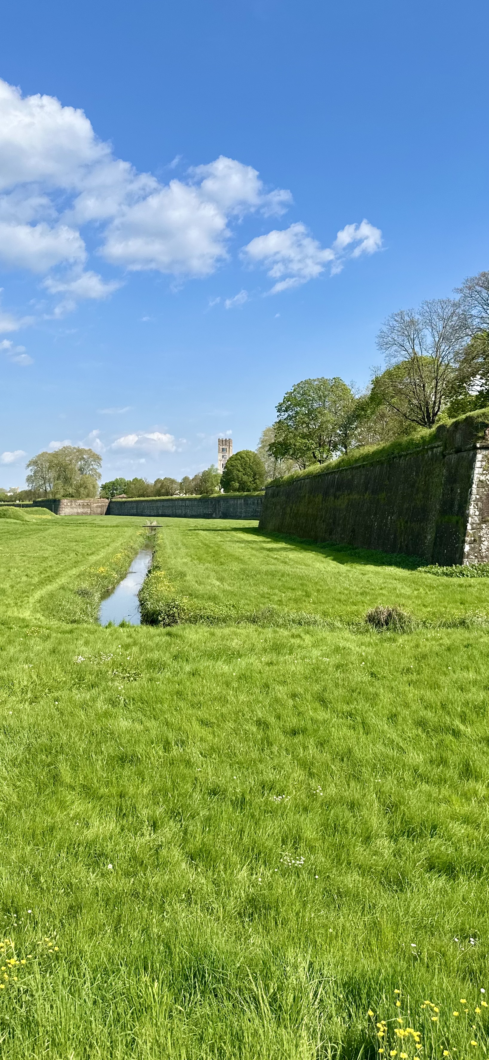 The ancient walls of Lucca, Tuscany — Ilaria's home city