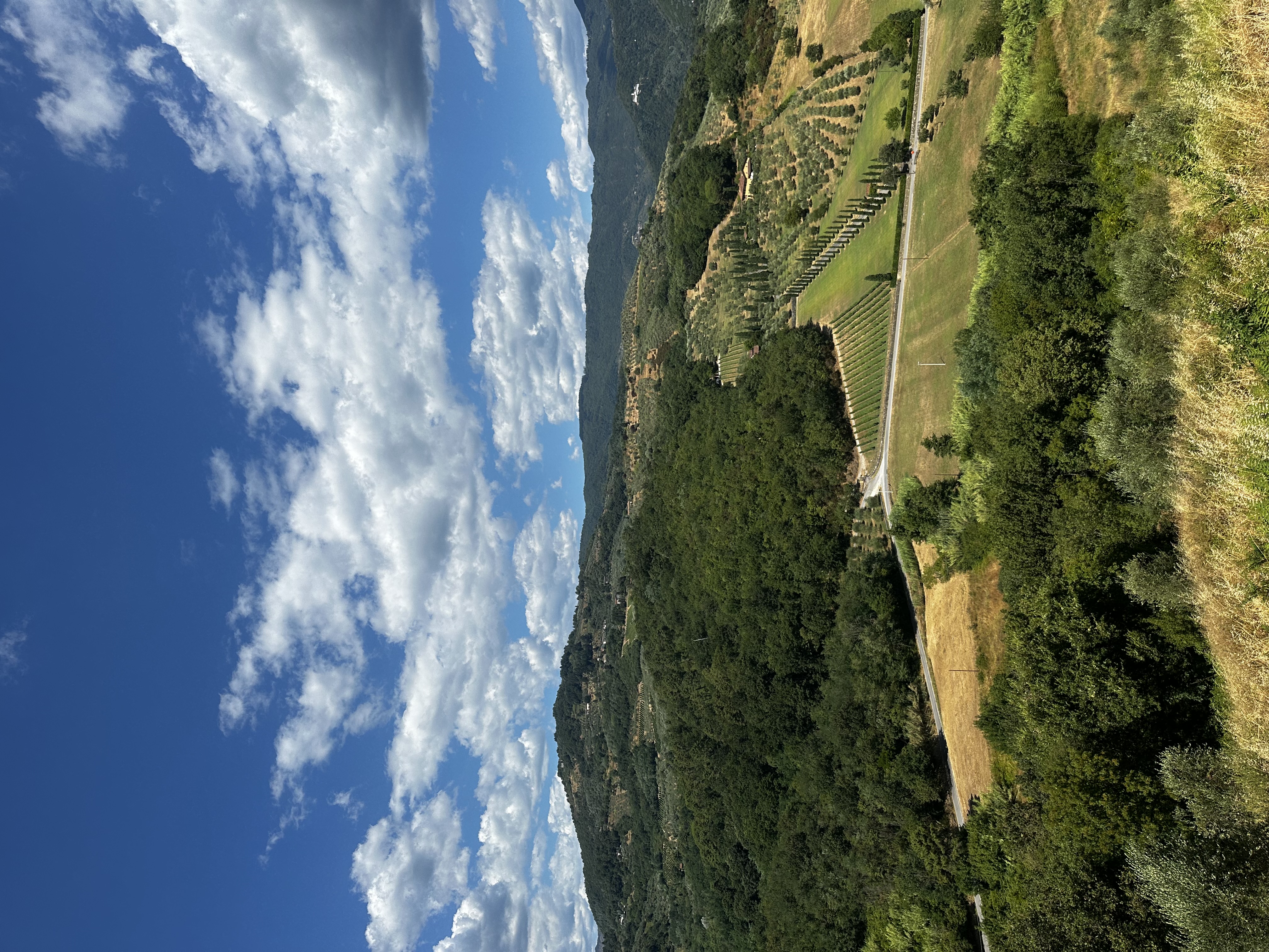The Tuscan countryside — Ilaria's home